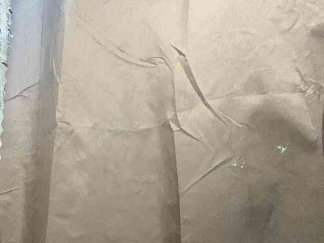 Rainie webcam