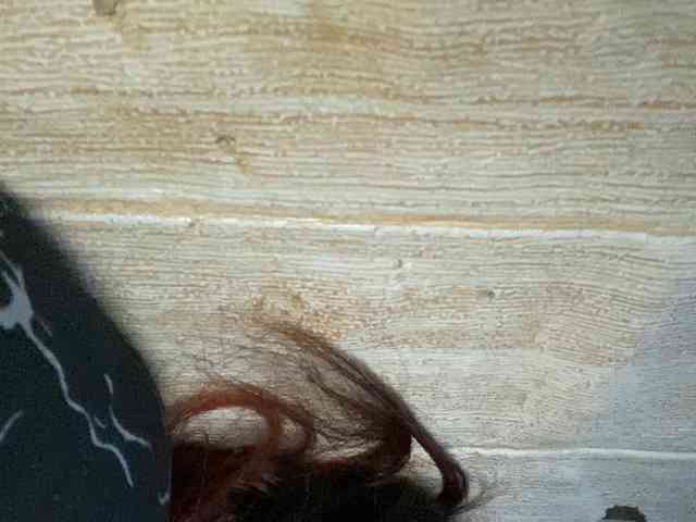 Rainie webcam