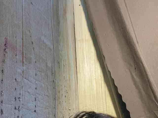 Rainie webcam