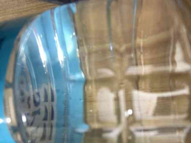Rainie webcam