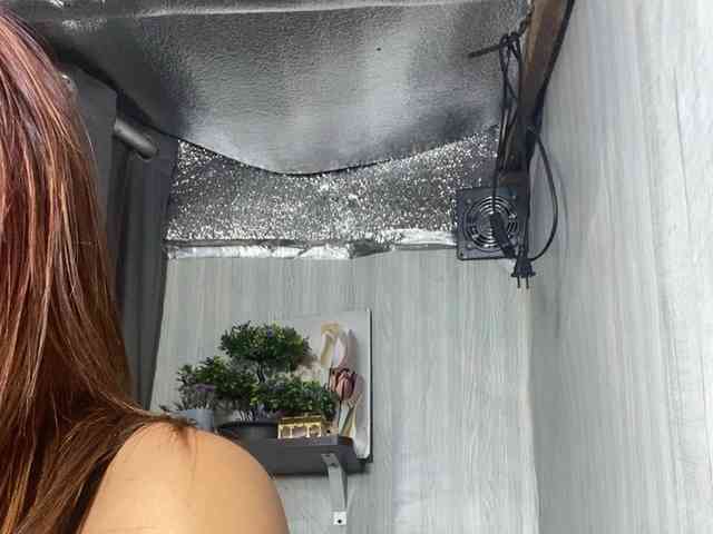 Rainie webcam