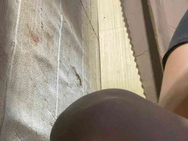 Rainie webcam