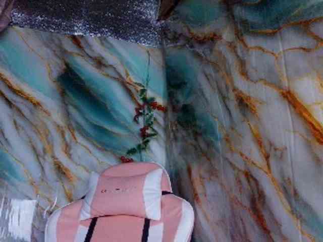 MoonFlowers webcam