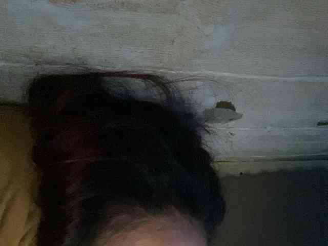 Rainie webcam