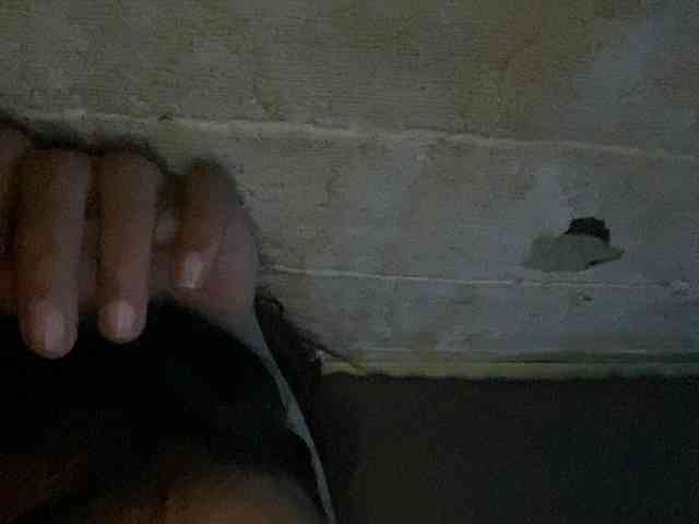 Rainie webcam