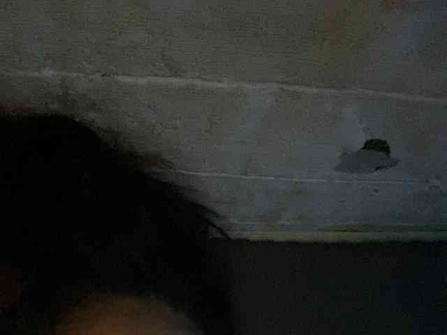 Rainie webcam