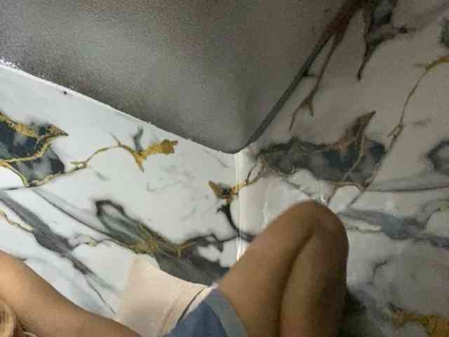 Rainie webcam