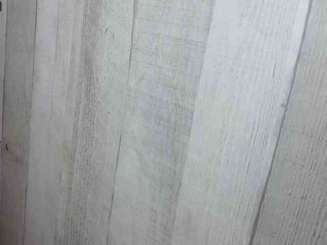 Rainie webcam