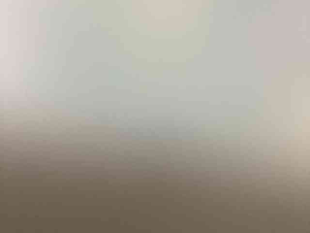 Rainie webcam