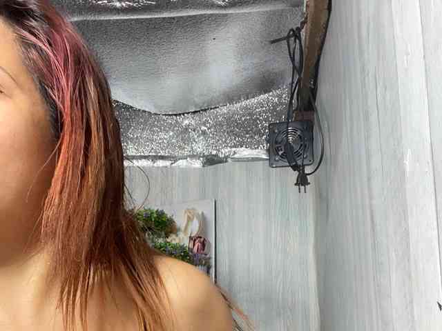 Rainie webcam
