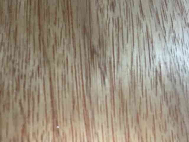 Rainie webcam
