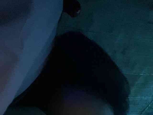 Rainie