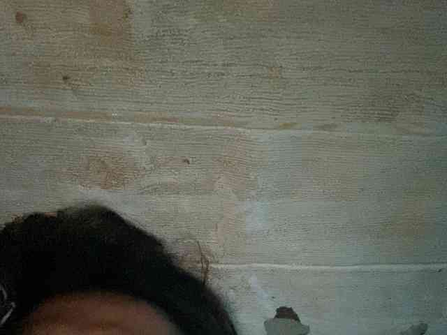 Rainie