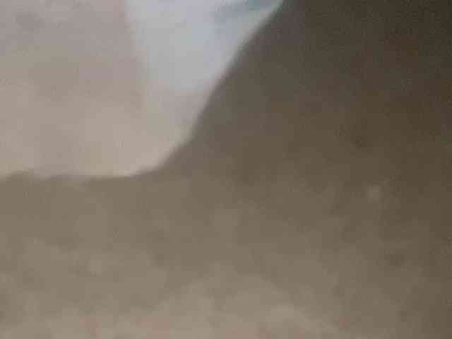 Rainie webcam