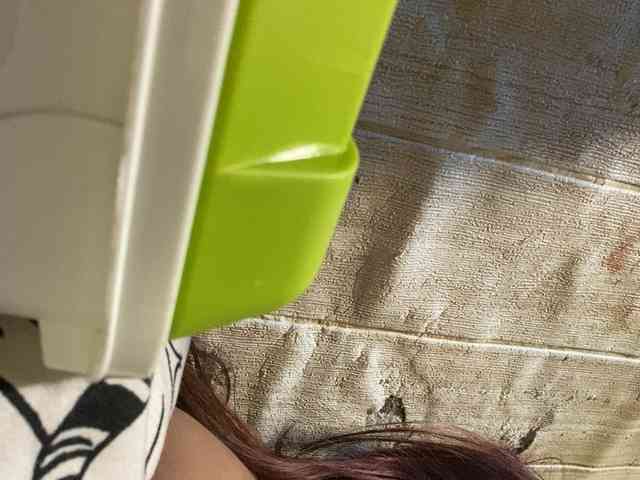 Rainie webcam
