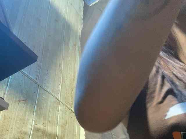 Rainie webcam
