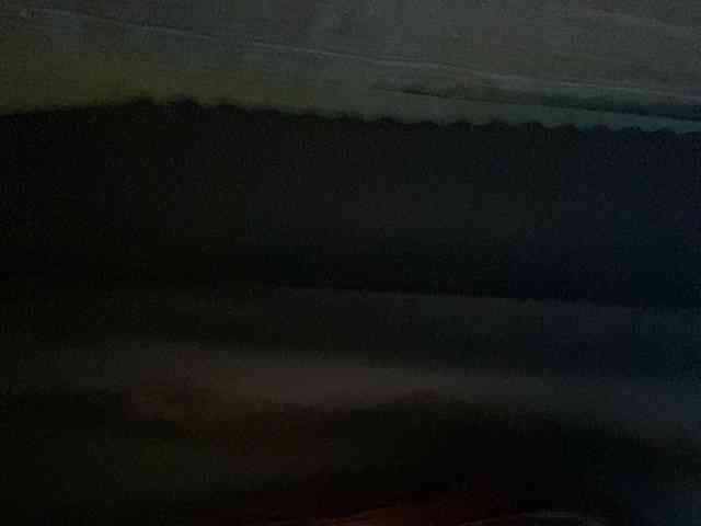 Rainie webcam