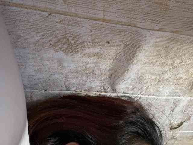 Rainie webcam