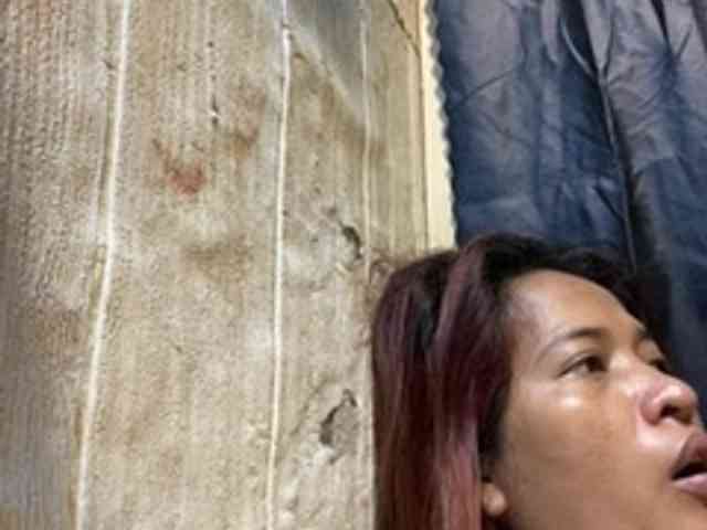 Rainie webcam