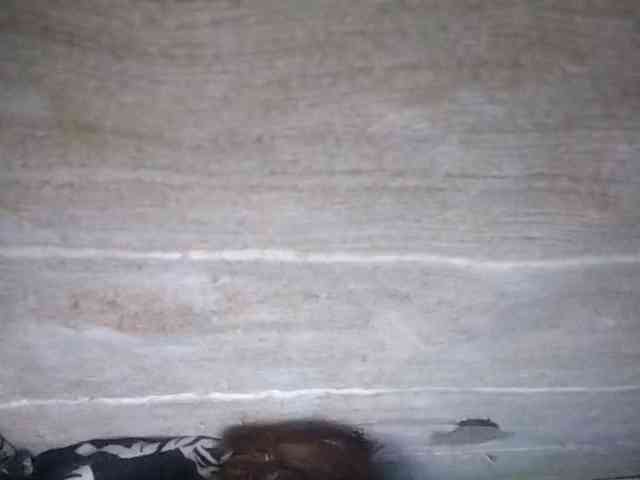 Rainie webcam