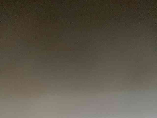 Rainie