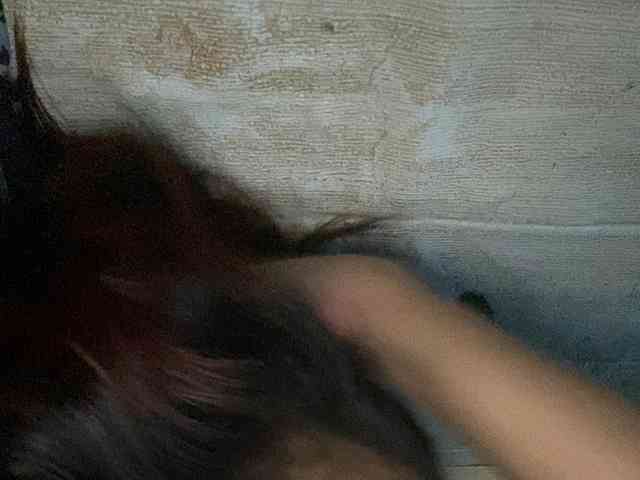 Rainie webcam