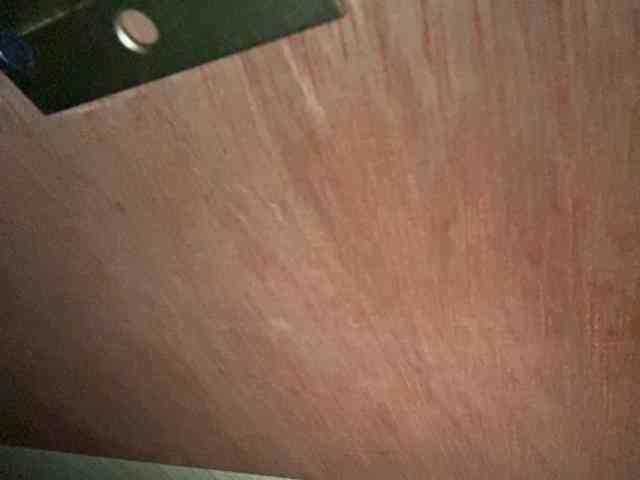 Rainie webcam