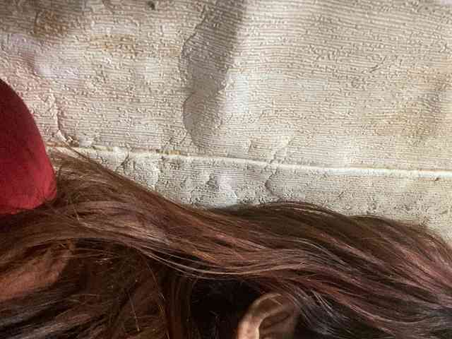 Rainie webcam