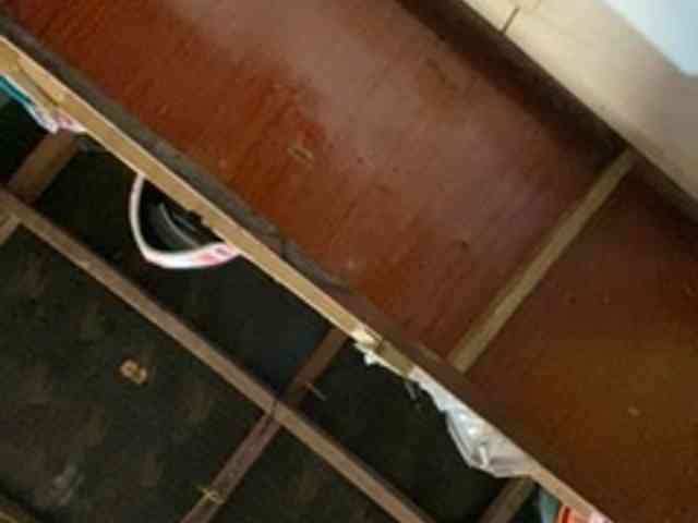 Rainie webcam
