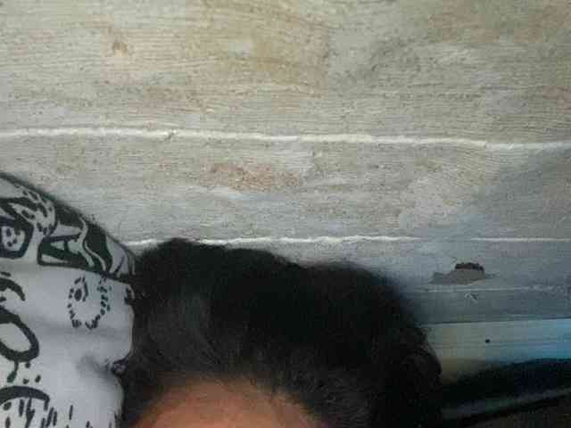 Rainie