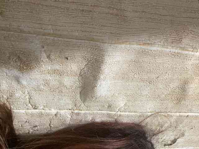 Rainie webcam