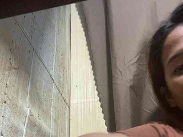 Rainie webcam