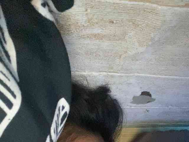 Rainie
