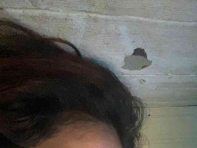 Rainie webcam