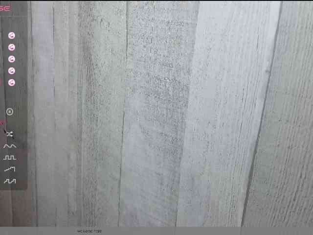 Rainie webcam