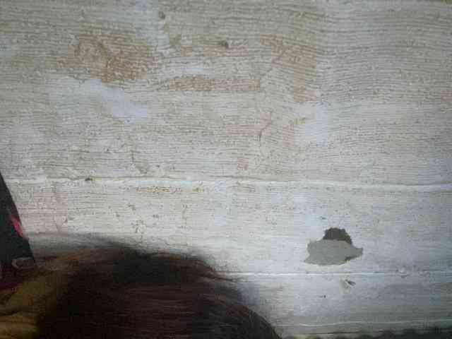 Rainie webcam