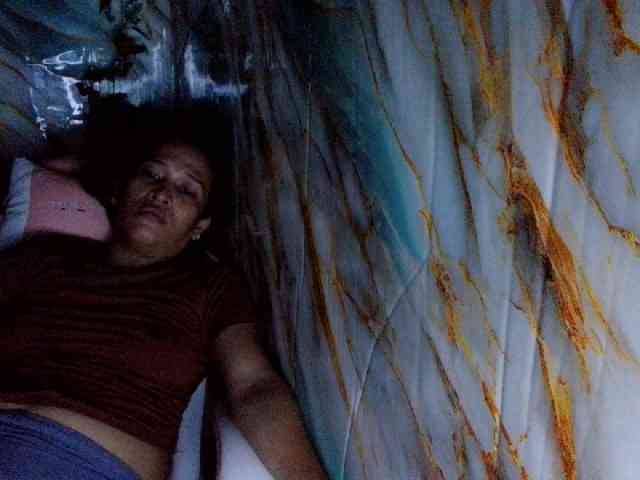 rasberrykat webcam