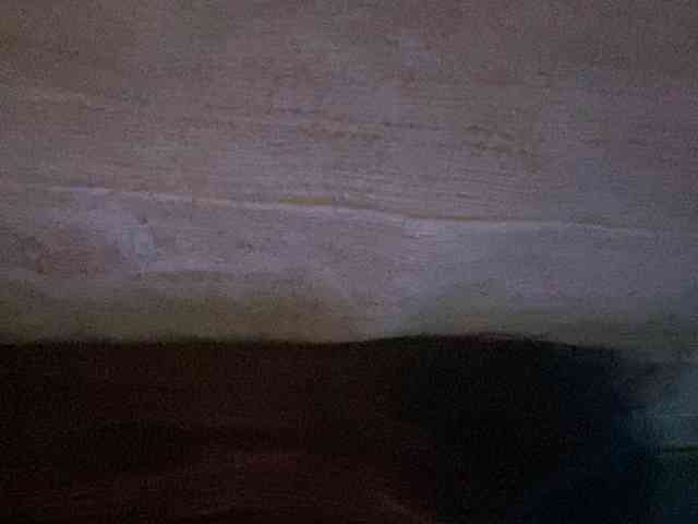 Rainie webcam