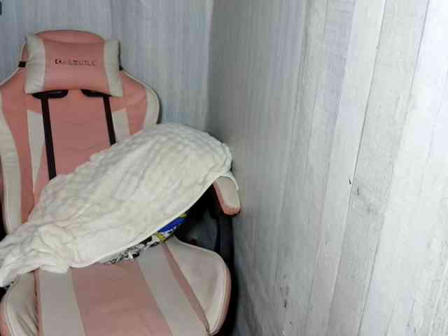 Rainie webcam