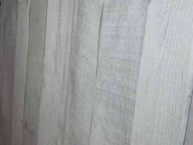Rainie webcam