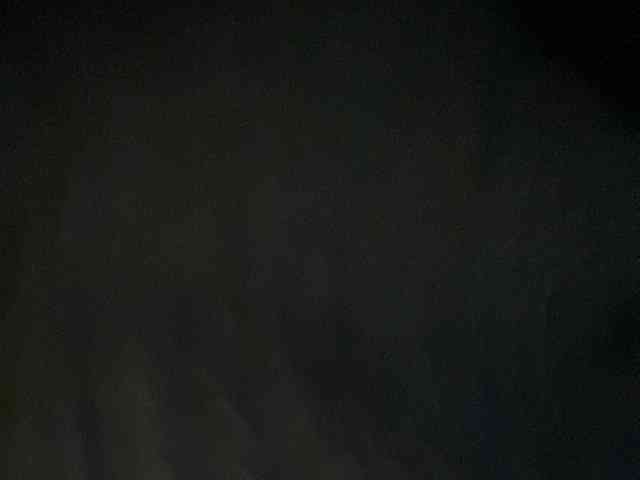 Rainie