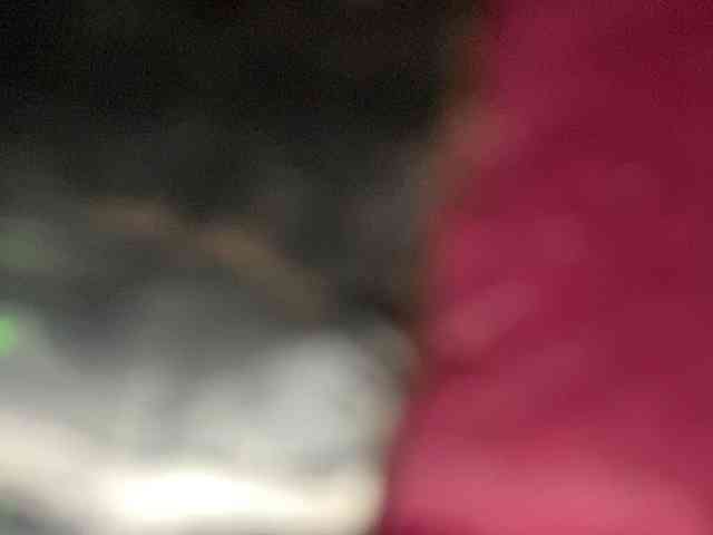 Rainie webcam