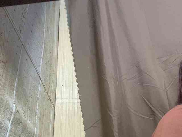 Rainie webcam