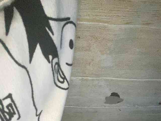 Rainie webcam