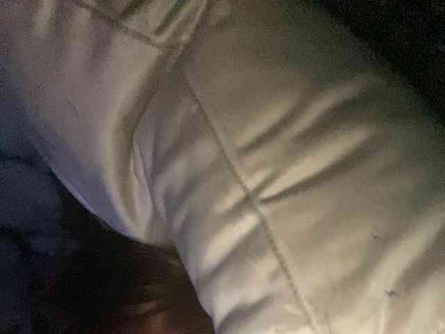 Rainie webcam