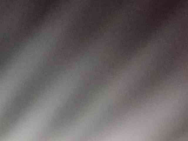 Rainie webcam