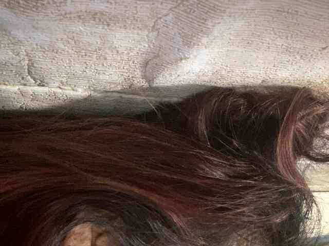 Rainie webcam