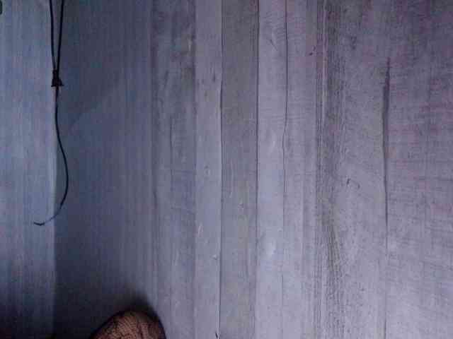 Rainie webcam