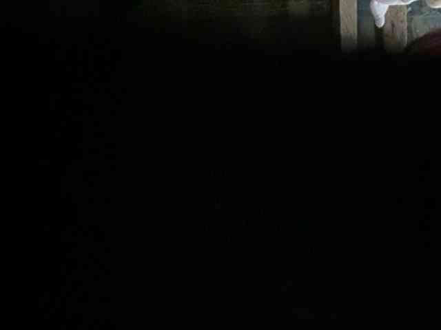 rasberrykat webcam