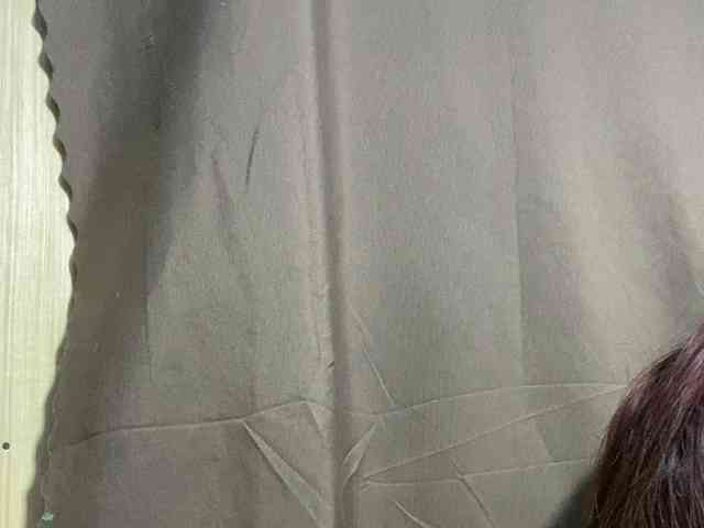 Rainie webcam
